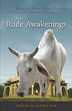 Rude Awakenings