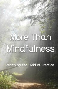 More Than Mindfulness