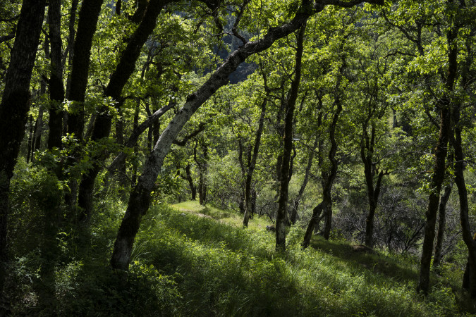 New Year's Eve Almsround and Meditation