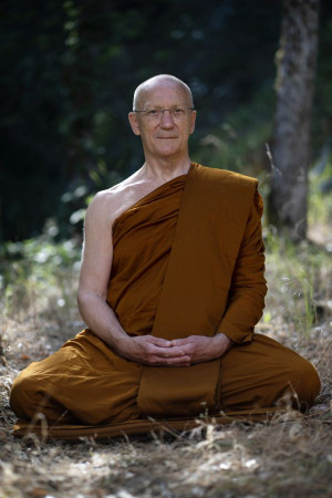 Thinking Isn't the Enemy - Ajahn Pasanno Half Day Online Retreat