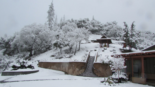 Winter Updates from Abhayagiri