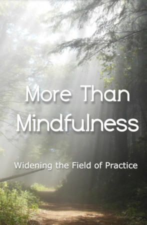 More than Mindfulness: Widening the Field of Practice