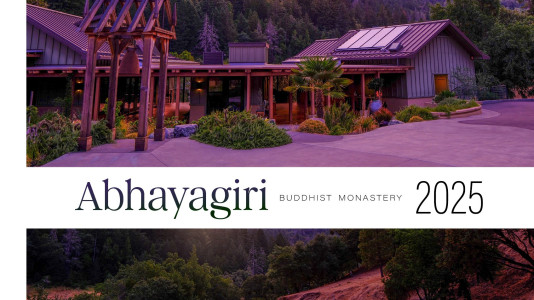 Abhayagiri 2025 Photobook