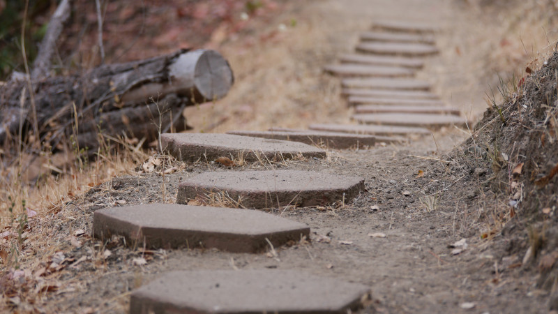 Upcoming: Abhayagiri 30th Anniversary Celebrations