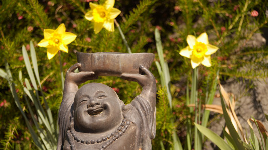 Upāsika Day - Developing the Factor of Interest