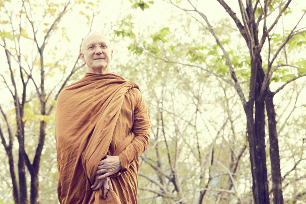 Reading: "Q&A" and "One Day Passes" by Ajahn Chah